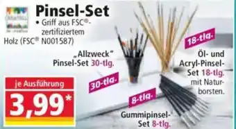 Norma Pinsel-Set Angebot