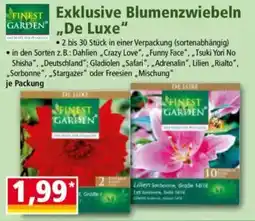 Norma FINEST GARDEN Exklusive Blumenzwiebeln ,,De Luxe" Angebot