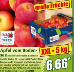 Norma Äpfel vom Boden-see Angebot