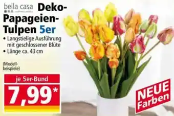 Norma bella casa Deko- Papageien- Tulpen 5er Angebot