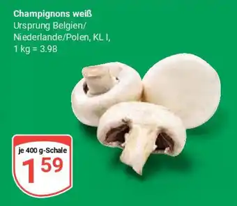 Globus Champignons weiß Angebot