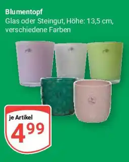 Globus Blumentopf Angebot