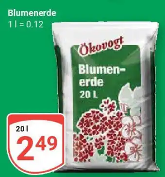 Globus Blumenerde Angebot