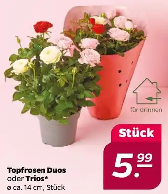 NETTO Topfrosen Duos oder Trios Angebot