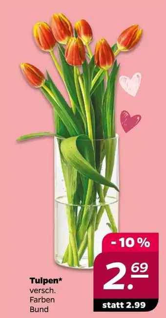 NETTO Tulpen Angebot