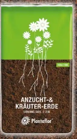 NETTO Plantaflor Anzucht-Erde und Kräuter-Erde Angebot