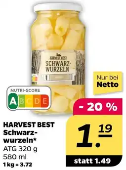 NETTO HARVEST BEST Schwarzwurzeln Angebot