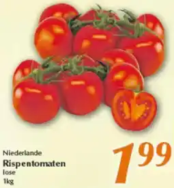 inkoop Niederlande Rispentomaten Angebot