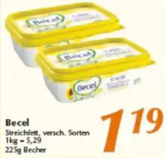 inkoop Becel Streichfett Angebot