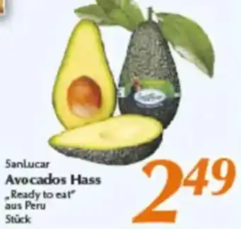 inkoop Sanlucar Avocados Hass Angebot