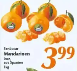 inkoop Sanlucar Mandarinen Angebot