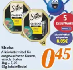 inkoop Sheba Angebot