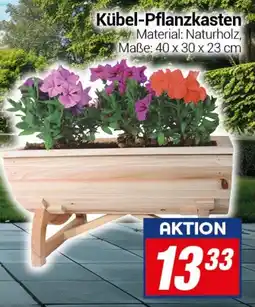 CENTERSHOP Kübel-Pflanzkasten Angebot