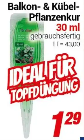 CENTERSHOP Balkon- & Kübel- Pflanzenkur Angebot