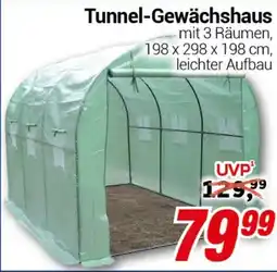 CENTERSHOP Tunnel-Gewächshaus Angebot