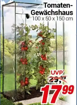 CENTERSHOP Tomaten- Gewächshaus Angebot