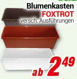 CENTERSHOP Blumenkasten FOXTROT Angebot