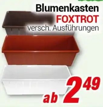 CENTERSHOP Blumenkasten FOXTROT Angebot