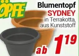 CENTERSHOP Blumentopf SYDNEY Angebot