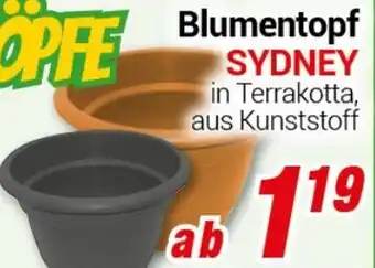 CENTERSHOP Blumentopf SYDNEY Angebot