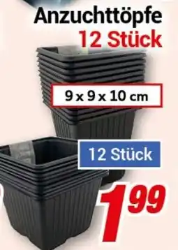 CENTERSHOP Anzuchttöpfe 12 Stück Angebot