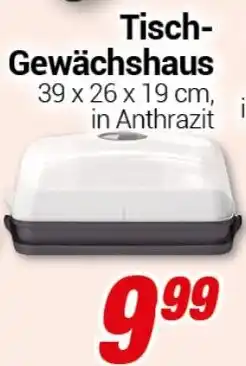 CENTERSHOP Tisch- Gewächshaus Angebot