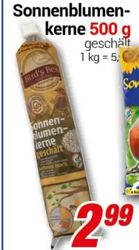 CENTERSHOP Sonnenblumen keme Angebot