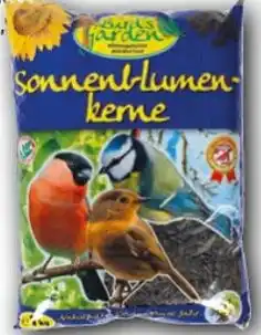 CENTERSHOP Sonnenblumen keme Angebot