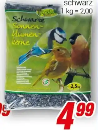 CENTERSHOP Sonnenblumen- keme Angebot