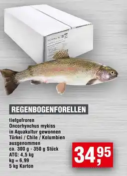 Handelshof Regenbogenforellen Angebot