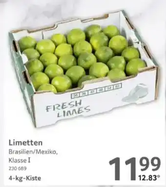 Selgros Limetten Angebot