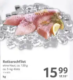 Selgros Rotbarschfilet Angebot