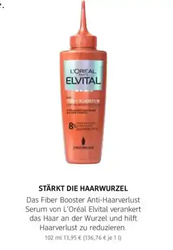 dm drogerie Stärkt die haarwurzel Angebot