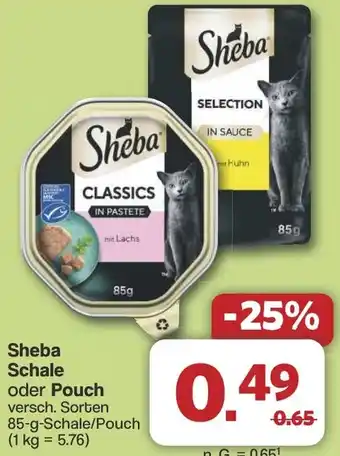 Famila Nord West Sheba Schale oder Pouch Angebot