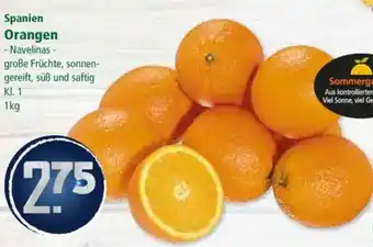 Klaas und Kock Spanien Orangen Angebot