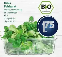 Klaas und Kock Italien Feldsalat Angebot