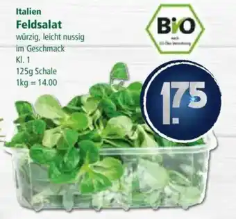 Klaas und Kock Italien Feldsalat Angebot