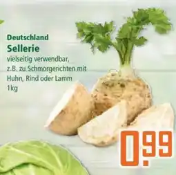 Klaas und Kock Deutschland Sellerie Angebot