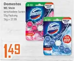 Klaas und Kock Domestos WC Stein Angebot