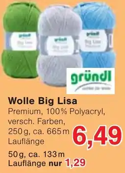 Wiglo Wunderland Wolle Big Lisa Premium gründl Angebot