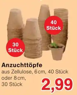 Wiglo Wunderland Anzuchttöpfe Angebot