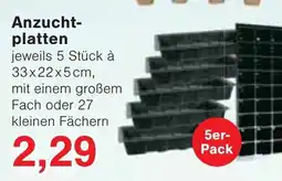 Wiglo Wunderland Anzucht- platten Angebot