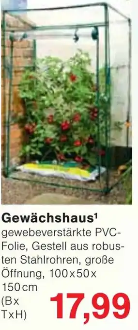 Wiglo Wunderland Gewächshaus Angebot