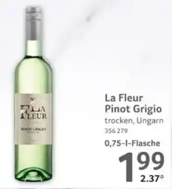 Selgros La Fleur Pinot Grigio Angebot