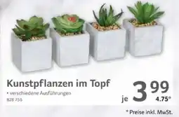 Selgros Kunstpflanzen im Topf Angebot