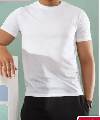 Woolworth Herren Basic T-Shirts Angebot