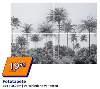 Action Fototapete Angebot