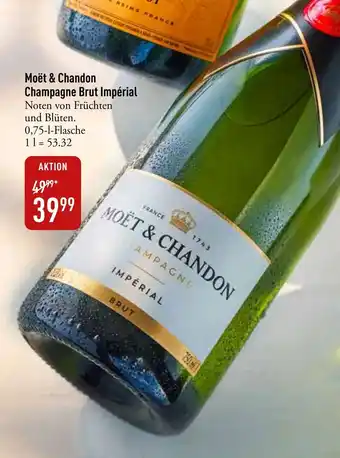 Galeria Markthalle Moët & Chandon Champagne Brut Impérial Angebot