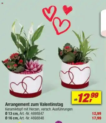 toom Baumarkt Arrangement zum Valentinstag Angebot