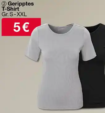 Woolworth Geripptes T-Shirt Angebot